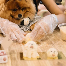 Load image into Gallery viewer, Pawchiak Online Pet Cake Workshop Access
